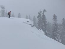 Remotely triggered storm slab from 50 feet away in low angle terrain to the side. This avalanche connected to more avalanches another 500' beyond.
