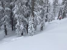 This storm slab avalanche was connected and a part of a 600' wide propagation.