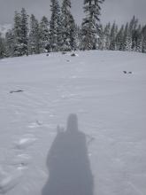 My track across the top of Wildflower ridge, refilled after about 35 minutes.