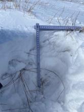 Drifts up to 40 cm in the meadows