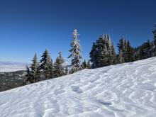 Wind scoured surfaces existed along the ridges. 