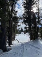 This established skin track is completely obscured just past the trees b/c it was filled in by blowing snow. 