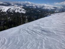 Hard wind slab over faceted snow at treeline on NE-E aspect terrain.