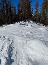 The old skin track on the ridge completely covered by redistributed snow from the previous east winds.