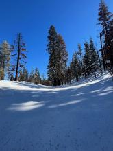 This open area has produced impressive surface hoar in the past but I didn't find much here today (although the upper snow was quite faceted). 