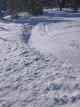 Ski penetration of about 4 inches into faceted snow.