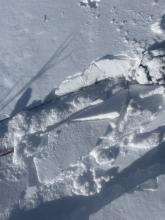 Wind slab formation above tree line.