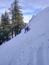 The current stability allowed us to dig a snowpit in an avalanche path. The snow was shallow and getting weaker. 