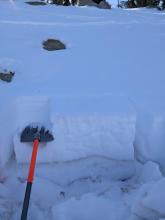 Snowpit on a shady slope with facets but no slab. ECTX results.