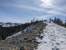 The windward side of the ridge was fully scoured back to dirt by the east winds. These winds have even blown some dust onto the snow on the leeward side of the ridge.