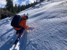 Note the ski penetration into faceted surface snow on this NE aspect, near treeline traditional avalanche start zone.