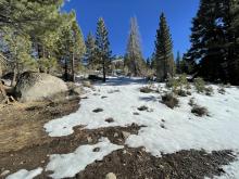 Snow melted down to dirt above 8500'.