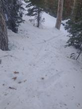 Soft, weak, faceted snow on a shady N aspect in below treeeline terrain.