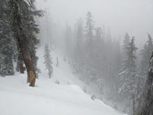 Near treeline avalanche path with facets below the new snow. We did not go into this area.