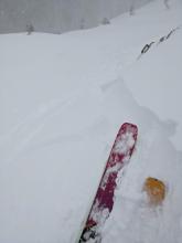 Small wind slab failure on a wind loaded test slope in exposed upper elevation terrain. This failed on a weakness within the storm snow.