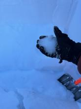 Examining the weak sugary facets under the new storm snow. 