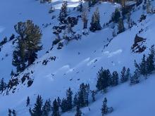 View of skiers left side of avalanche