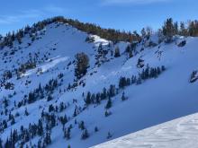 Overview of avalanche 
