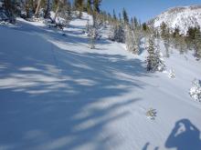 Long shooting cracks, NE aspect near treeline terrain.