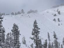 NE aspect, near treeline, ~9,800'