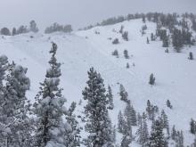 NE aspect, near treeline, ~9,800'