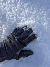 Surface hoar was widespread on Tamarack Peak