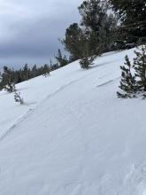 Yesterday's tracks covered with blowing snow