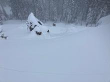 Triggered this crack from the flat ridgeline that propagated and released this avalanche.