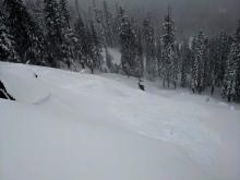 Wind slab avalanche at 7800' in NTL terrain.