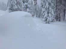 Natural storm slab avalanche on small test slope.