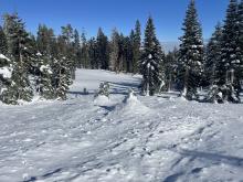 Debris Flow From Avalanche