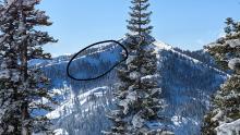 Slab avalanches on Silver peak