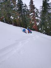 A below treeline opening, N aspect near 7,300' with large buried surface hoar.