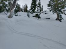 Another old flank and crown from Dec 11. Just below Stanford Rock, NE aspect at 8,200'.