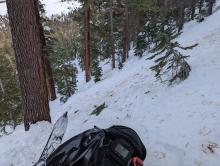 Great riding conditions in between tree bombs. We found more open and higher elevation cold slopes that weren't ruined by them