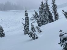 Natural avalanche, cornice fall triggered, Wildflower Ridge, NE aspect at 7,800'.
