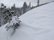 Evidence of wind scouring by NE winds. 