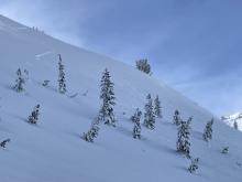 Natural wind slab release within the hour of digging a pit.