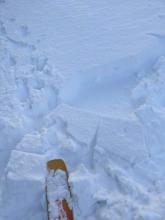 Some cracking started started to occur in areas where wind affected snow existed even in the trees at 8000 ft. 