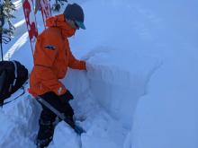 ECTP that failed at the base of the wind affected storm snow on a N-facing, below treeline slope at 8000 ft. A second ECT targeting the Jan 4 rain crust did produce unstable results (ECTN on that layer).