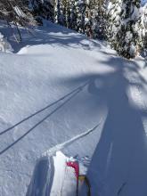 Long shooting crack above a previous ski track in an area where wind affected snow existed in below treeline terrain at about 8400 ft. 