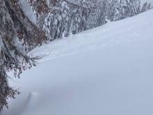 Storm slab debris covered by additional storm snow today.