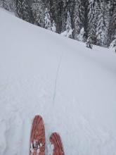 Long shooting cracks off of skis in NTL terrain. 