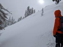 Natural storm slab avalanche failing sometime last night.  Mostly covered by additional storm snow.  