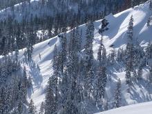Natural avalanches off of E ridge of Silver Peak