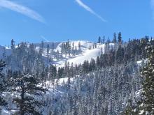 Natural wind slab avalanches off of Poulsen Peak