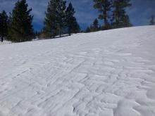 Wind scouring into open below treeline terrain