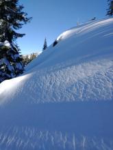 Smooth, supportable hard slab on NW aspect terrain near treeline.