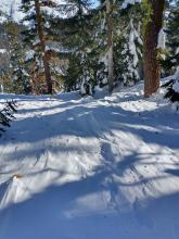 Substantial wind texture on E aspect terrain below treeline.