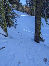 Some wind affected snow existed in open areas below treeline